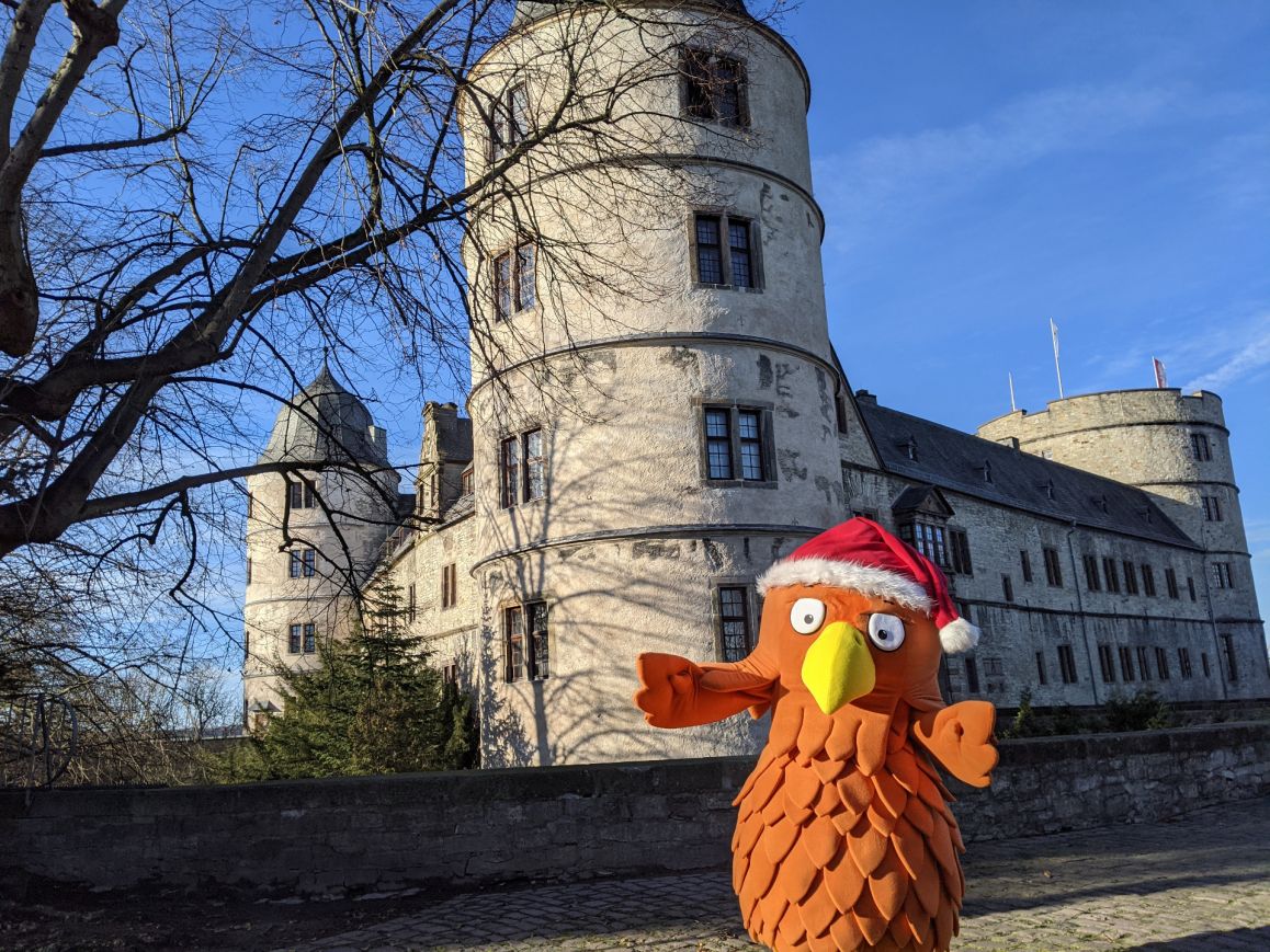 Falko freut sich auf Weihnachten